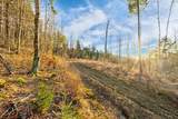 00 Bear Creek Lane - Photo 9