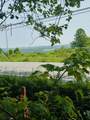 123 Rte 5 - Photo 6