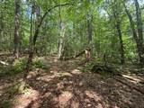 251 Phillips Hill Road - Photo 5