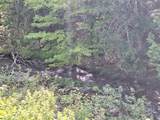 407 River Road - Photo 5