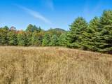 115 Adams Farm Road - Photo 5