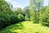 00 Turtle Hill Road - Photo 8