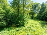 00 Turtle Hill Road - Photo 9