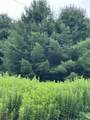 9 Rydon Acres - Photo 10