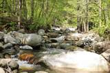 2448 Lost Nation Road - Photo 7