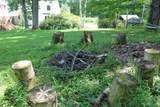 1643 Hammond Hill Road - Photo 51