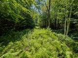 00 Brushwood Road - Photo 5
