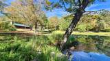 1342 Old Stage Road - Photo 51