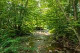 1148 Kent Hollow Road - Photo 44
