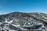 M-17 Moon Shadow Drive - Photo 9