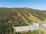 33 Carinthia Road - Photo 45