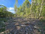 000 Garmish Drive - Photo 3