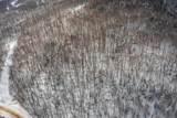 0 Mountain Road - Photo 6
