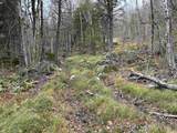 0 Pound Road - Photo 26