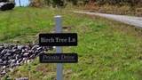 00 Birch Tree Lane - Photo 5