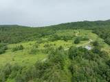 00 Birch Tree Lane - Photo 10