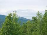 00 Birch Tree Lane - Photo 13