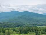 00 Birch Tree Lane - Photo 14