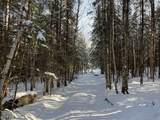 0 Shadow Lake Road - Photo 2