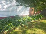 25 Marshall Avenue - Photo 48