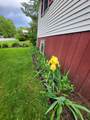 25 Marshall Avenue - Photo 51