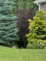 43 Maple Leaf Way - Photo 59