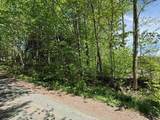 Lot 2 - 162 High Peak Way - Photo 2