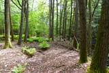 525 Richmond Road - Photo 9