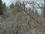 00 Wheelock Road - Photo 22