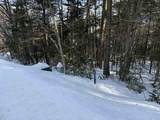 19 Stone Ridge Loop - Photo 11