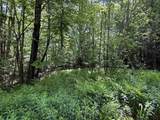 19 Stone Ridge Loop - Photo 6