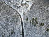 13 Klausen Road - Photo 15