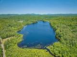 TBD Stocker Pond Road - Photo 9