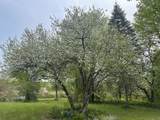 51 Rainy View Lane - Photo 24