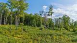 00 Wildlife Road - Photo 3
