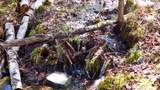  Spar Hawk Road - Photo 34