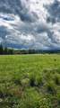 972-A Fitzgerald Road - Photo 4