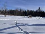296 George Street - Photo 10
