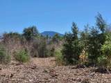 lot 4 Depot Street - Photo 5