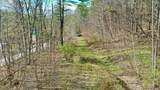 00 Turkey Mountain Road - Photo 10