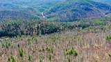 00 Turkey Mountain Road - Photo 16