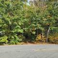 M20 L45 Green Road - Photo 22