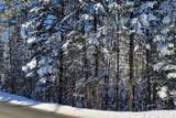 000 French Pond Road - Photo 11