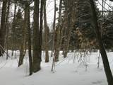 0 Plot Road - Photo 13