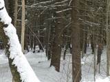 0 Plot Road - Photo 19