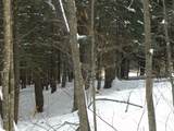 0 Plot Road - Photo 20