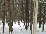 0 Plot Road - Photo 21
