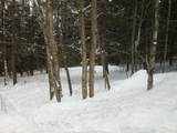0 Plot Road - Photo 4