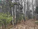 Lot 15 Holbrook Hill Road - Photo 2