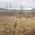 4389 Route 36 - Photo 26